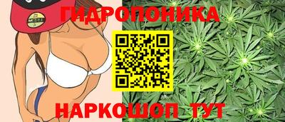 ALPHA-PVP Шахты