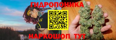 дживик Шелехов