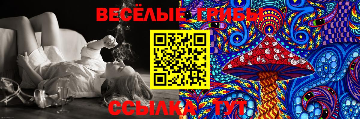 Галлюциногенные грибы Cubensis  купить наркотик  Коломна  Вход с VPN 