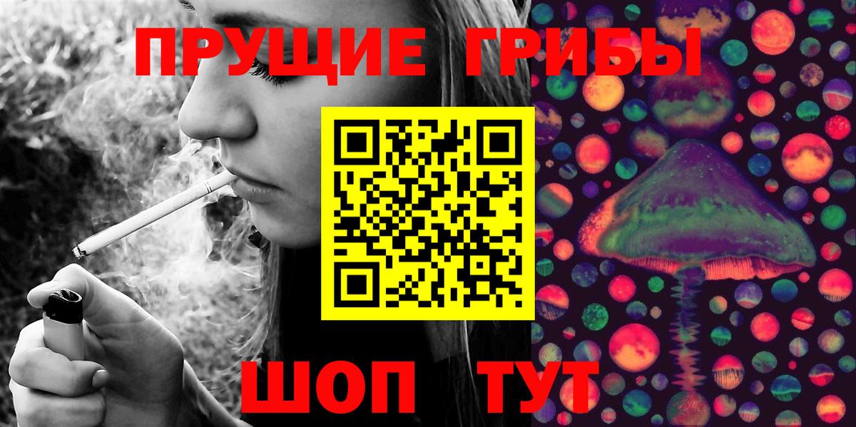Псилоцибиновые грибы мицелий Коломна